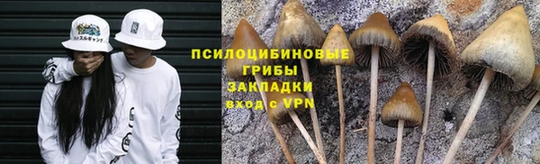 гашик Павлово