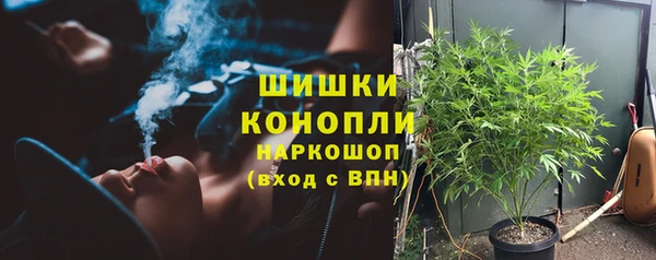 сатива Коряжма