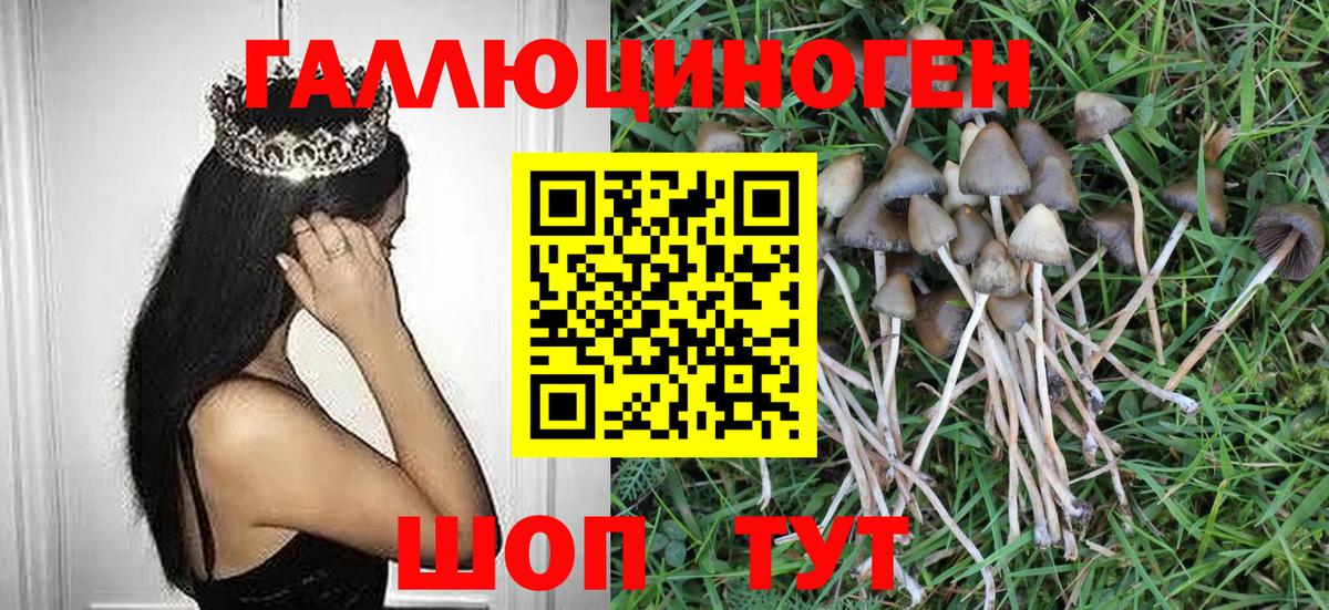 Псилоцибиновые грибы GOLDEN TEACHER Урай